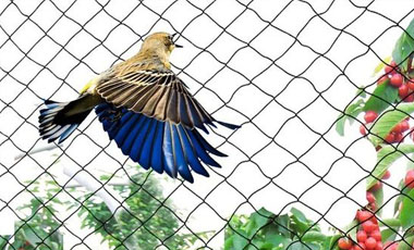 Balcony safety nets in Pune